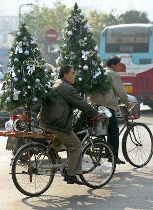 Delivering Christmas trees with bicycles (AFP/Getty Images)