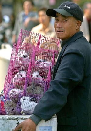 An old man selling rabbits (AFP/Getty Images)