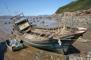 The aftermath of Typhoon Saomai. (China Photos/Getty Images)