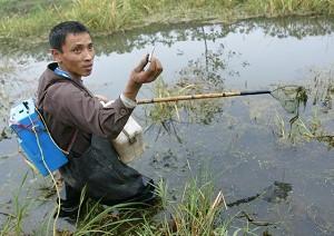 Local villager Yin Jiqiu, showing the small fish he caught from a stream branching off from Dongting Lake, on October 31, 2004. (Frederic J. Brown/AFP/Getty Images)