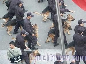 Police use canines to prevent strikers' from walking off the job. (The Epoch Times)