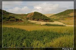 Crop fields in the remote mountain village. (Qing Qing/The Epoch Times)