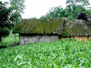 Most residents live in thatched huts made of grass. (Ben Ben)