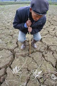Liu, 79, came on crutches and inspected his rice field. (The Epoch Times)