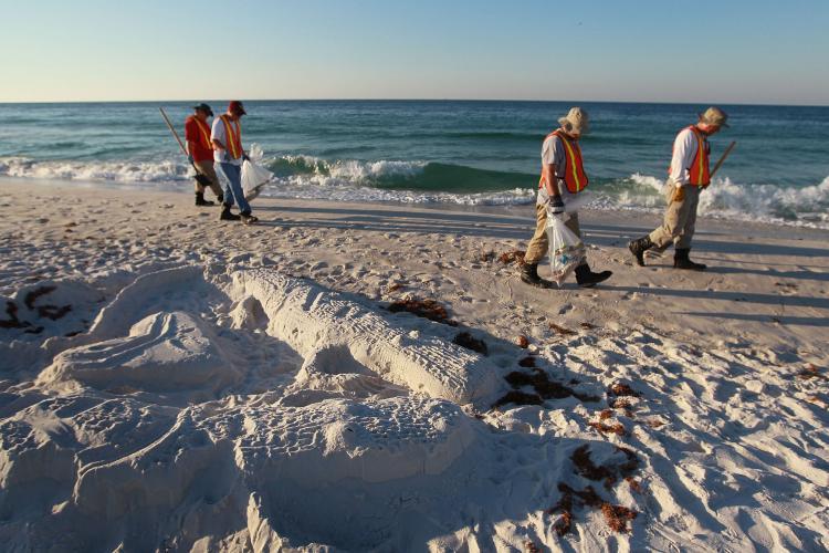 <a><img src="https://www.theepochtimes.com/assets/uploads/2015/09/101875059.jpg" alt="Workers are seen picking up the small amount of oil residue that has washed up on Pensacola Beach from the Deepwater Horizon oil spill in the Gulf of Mexico on June 8.  (Joe Raedle/Getty Images)" title="Workers are seen picking up the small amount of oil residue that has washed up on Pensacola Beach from the Deepwater Horizon oil spill in the Gulf of Mexico on June 8.  (Joe Raedle/Getty Images)" width="320" class="size-medium wp-image-1818903"/></a>