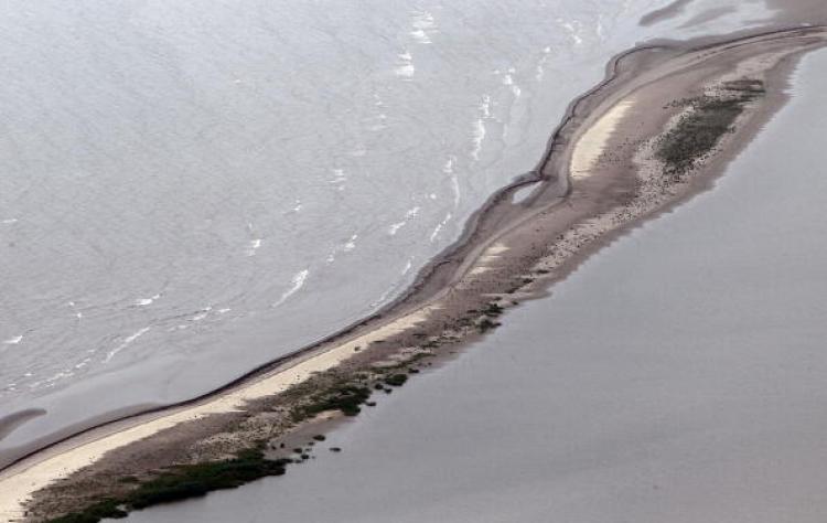 <a><img src="https://www.theepochtimes.com/assets/uploads/2015/09/102961787.jpg" alt="A beach is seen near the source of the BP Deepwater Horizon oil spill on July 18, 2010 in the Gulf of Mexico off the coast of Louisiana. Scientists are concerned about leakage spotted near BP's oil well which appeared to be sealed.  (Mario Tama/Getty Images)" title="A beach is seen near the source of the BP Deepwater Horizon oil spill on July 18, 2010 in the Gulf of Mexico off the coast of Louisiana. Scientists are concerned about leakage spotted near BP's oil well which appeared to be sealed.  (Mario Tama/Getty Images)" width="320" class="size-medium wp-image-1817235"/></a>
