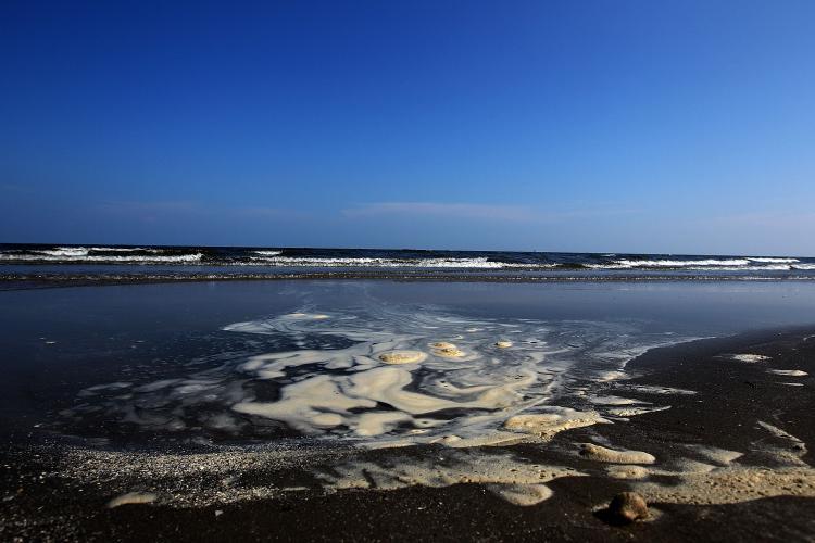 <a><img src="https://www.theepochtimes.com/assets/uploads/2015/09/103333492.jpg" alt="Pools of dispersed oil collect on a section of the public beach that was reopened yesterday for the first time in nearly 3 months August 10, in Grand Isle, Louisiana.   (Win McNamee/Getty Images)" title="Pools of dispersed oil collect on a section of the public beach that was reopened yesterday for the first time in nearly 3 months August 10, in Grand Isle, Louisiana.   (Win McNamee/Getty Images)" width="320" class="size-medium wp-image-1816232"/></a>