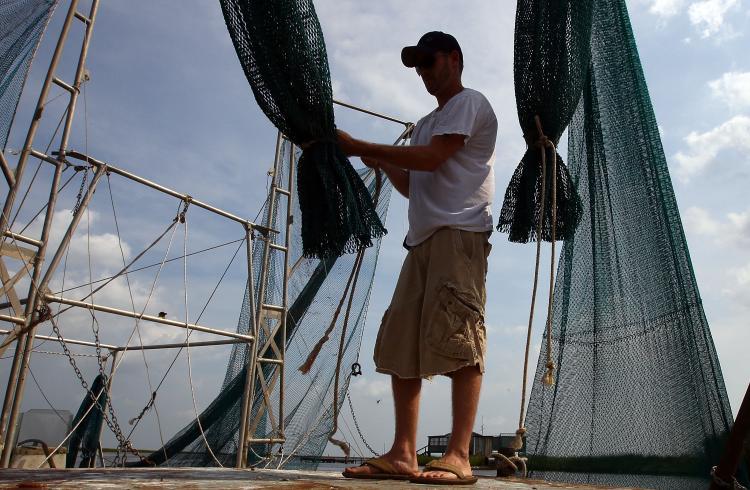 <a><img src="https://www.theepochtimes.com/assets/uploads/2015/09/103411192.jpg" alt="DULARGE, LA - Daniel May sets up his nets on a shrimping barge located in a bayou on August 16. Today marks the beginning of the shrimping season for white shrimp in Louisiana, the first since the Deepwater Horizon. (Win McNamee/Getty Images)" title="DULARGE, LA - Daniel May sets up his nets on a shrimping barge located in a bayou on August 16. Today marks the beginning of the shrimping season for white shrimp in Louisiana, the first since the Deepwater Horizon. (Win McNamee/Getty Images)" width="320" class="size-medium wp-image-1816030"/></a>