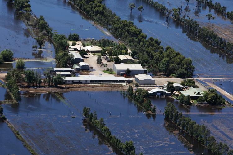 <a><img src="https://www.theepochtimes.com/assets/uploads/2015/09/108140221.jpg" alt="An farm house inundated by flood waters on Jan. 19, 2011 in Kerang, Australia. Evacuations have been ordered in several western and north-western Victorian towns as they brace for the worst flooding in over 200 years. (Lisa Maree Williams/Getty Images)" title="An farm house inundated by flood waters on Jan. 19, 2011 in Kerang, Australia. Evacuations have been ordered in several western and north-western Victorian towns as they brace for the worst flooding in over 200 years. (Lisa Maree Williams/Getty Images)" width="320" class="size-medium wp-image-1809459"/></a>