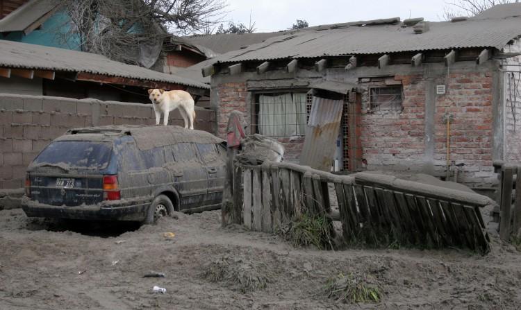 <a><img src="https://www.theepochtimes.com/assets/uploads/2015/09/117031852.jpg" alt="A dog stands on the roof of a car covered with volcanic ash from Chile's Puyehue volcano, in Villa La Angostura, in the Argentine province of Neuquen on June 19, 2011. (Francisco Ramos Mejia/AFP/Getty Images)" title="A dog stands on the roof of a car covered with volcanic ash from Chile's Puyehue volcano, in Villa La Angostura, in the Argentine province of Neuquen on June 19, 2011. (Francisco Ramos Mejia/AFP/Getty Images)" width="575" class="size-medium wp-image-1802374"/></a>