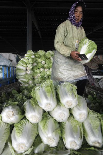 <a><img class="size-medium wp-image-1787805" title="Cabbages in China market" src="https://www.theepochtimes.com/assets/uploads/2015/09/1205041031521758.jpeg" alt="Cabbages in China market" width="350" height="262"/></a>