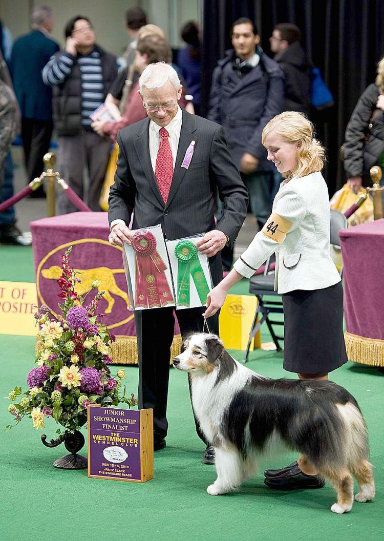 <a><img src="https://www.theepochtimes.com/assets/uploads/2015/09/134thWKCDogsShowWEB.jpg" alt="A BREED APART: Katelyn Scott from Utah shows her Australian shepherd, China, at the 134th annual Westminster Dog Show at Madison Square Garden on Tuesday. to her left is judge Robert L. Vandiver. (Alosio Santos/The Epoch Times)" title="A BREED APART: Katelyn Scott from Utah shows her Australian shepherd, China, at the 134th annual Westminster Dog Show at Madison Square Garden on Tuesday. to her left is judge Robert L. Vandiver. (Alosio Santos/The Epoch Times)" width="320" class="size-medium wp-image-1822877"/></a>
