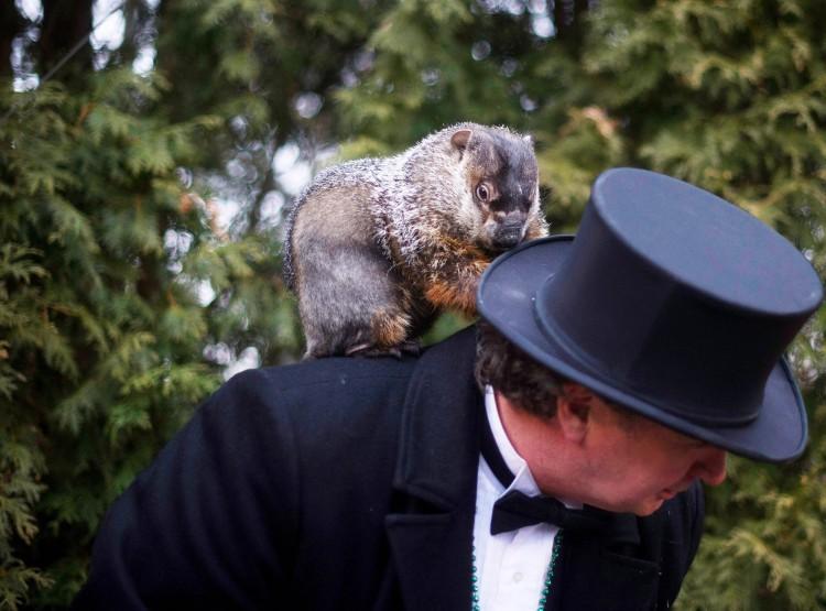 <a><img class="size-large wp-image-1792442" title="Groundhog Day in Punxsutawney Pennsylvania" src="https://www.theepochtimes.com/assets/uploads/2015/09/138080900_groundhog.jpg" alt="" width="590" height="437"/></a>