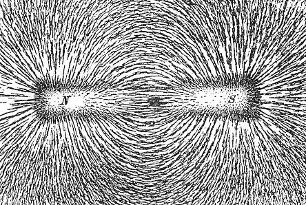 The magnetic field of a bar magnet revealed by iron filings on paper. (Newton Henry Black)