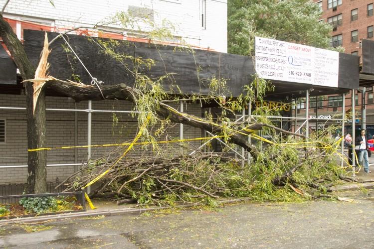 <a><img class="size-large wp-image-1774330" title=" A tree that is broken in half lays on the side walk on Oct. 30, the morning after Hurricane Sandy hit New York City. (Benjamin Chasteen/The Epoch Times) " src="https://www.theepochtimes.com/assets/uploads/2015/09/20121030Fallen+Tree_BenC_0148.jpg" alt=" A tree that is broken in half lays on the side walk on Oct. 30, the morning after Hurricane Sandy hit New York City. (Benjamin Chasteen/The Epoch Times) " width="590" height="393"/></a>