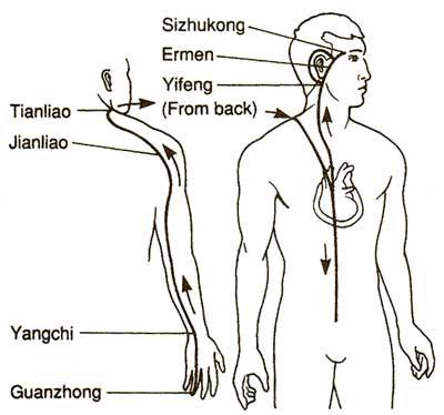 Triple Warmer Meridian. Acupuncture points TB17 (Yifeng), GB2 and SJ21 (Ermen) were needled unilaterally on the affected side. (Wikimedia_Commons)