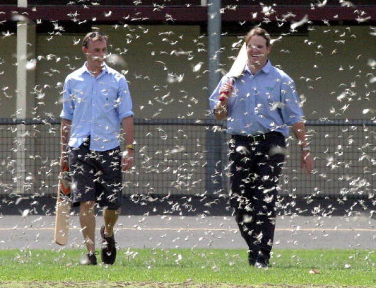 <a><img src="https://www.theepochtimes.com/assets/uploads/2015/09/3110042.jpg" alt="A plague of locust onto the oval at Dubbo, back in 2004. Warnings provided, this year, in a September bulletin on the Department of Agriculture, Fisheries and Forestry's website. (Steve Cowley/AFP/Getty Images)" title="A plague of locust onto the oval at Dubbo, back in 2004. Warnings provided, this year, in a September bulletin on the Department of Agriculture, Fisheries and Forestry's website. (Steve Cowley/AFP/Getty Images)" width="320" class="size-medium wp-image-1814094"/></a>