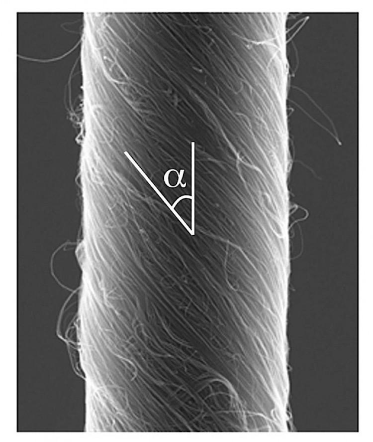 <a><img src="https://www.theepochtimes.com/assets/uploads/2015/09/36812.jpg" alt="Scanning electron micrograph image of a 3.8-micron diameter carbon nanotube yarn that functions as a torsional muscle when filled with an ionically conducting liquid and electrochemically charged. The angle indicates the deviation between nanotube orientation and yarn direction for this helical yarn. (University of Texas at Dallas)" title="Scanning electron micrograph image of a 3.8-micron diameter carbon nanotube yarn that functions as a torsional muscle when filled with an ionically conducting liquid and electrochemically charged. The angle indicates the deviation between nanotube orientation and yarn direction for this helical yarn. (University of Texas at Dallas)" width="320" class="size-medium wp-image-1796418"/></a>