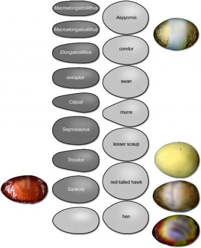 <a><img class="size-full wp-image-1789511" title="Spanish researchers have shown how birds' eggs (pale grey) differ from dinosaurs' eggs (darker grey). A University of Leicester researcher has taken this one step further and added Easter eggs to the comparison. (Mark Purnell/University of Leicester)" src="https://www.theepochtimes.com/assets/uploads/2015/09/42428_web.jpg" alt="Spanish researchers have shown how birds' eggs (pale grey) differ from dinosaurs' eggs (darker grey). A University of Leicester researcher has taken this one step further and added Easter eggs to the comparison. (Mark Purnell/University of Leicester)" width="240" height="295"/></a>