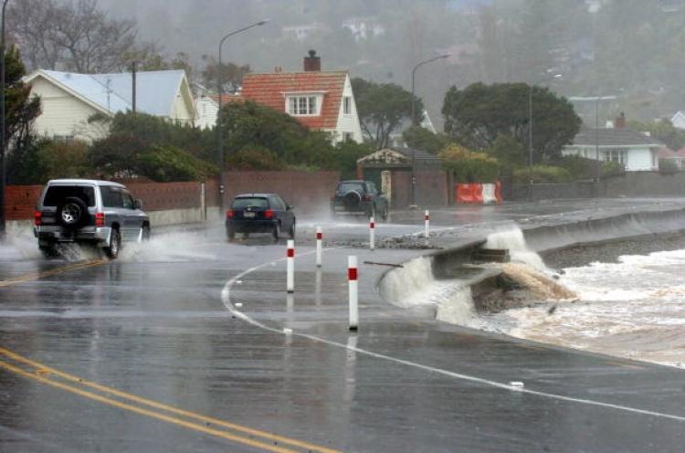 <a><img src="https://www.theepochtimes.com/assets/uploads/2015/09/56090807.jpg" alt="Drivers on Marine Parade in Wellington struggle with strong winds during a storm in 2004. Strong gusts are forecast for Wellington, and severe weather warnings issued for other parts of New Zealand. (Photo by Ross Setford/Getty Images)" title="Drivers on Marine Parade in Wellington struggle with strong winds during a storm in 2004. Strong gusts are forecast for Wellington, and severe weather warnings issued for other parts of New Zealand. (Photo by Ross Setford/Getty Images)" width="320" class="size-medium wp-image-1814700"/></a>
