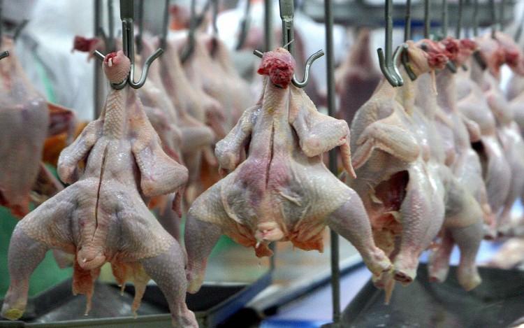 <a><img class="size-large wp-image-1773325" title="Chickens hang on a production line of a food processing plant seen here in this file photo. (SAEED KHAN/AFP/Getty Images)" src="https://www.theepochtimes.com/assets/uploads/2015/09/71589494.jpg" alt="Chickens hang on a production line of a food processing plant seen here in this file photo. (SAEED KHAN/AFP/Getty Images)" width="590" height="368"/></a>