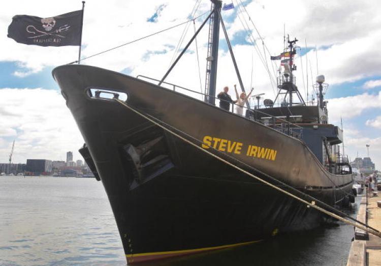 <a><img src="https://www.theepochtimes.com/assets/uploads/2015/09/78257804.jpg" alt="Sea Shepherd's Steve Irwin, in Melbourne after a naming ceremony.  (William WEST/AFP/Getty Images)" title="Sea Shepherd's Steve Irwin, in Melbourne after a naming ceremony.  (William WEST/AFP/Getty Images)" width="320" class="size-medium wp-image-1832892"/></a>