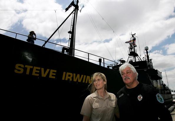 <a><img class="size-medium wp-image-1785626" title="Sea Shepherd Renames Ship The "Steve Irwin"" src="https://www.theepochtimes.com/assets/uploads/2015/09/78257970-irwin-ship-and-paul-watson-and-terri-irwin.jpg" alt=" Sea Shepherd  ship 'Steve Irwin' " width="350" height="262"/></a>