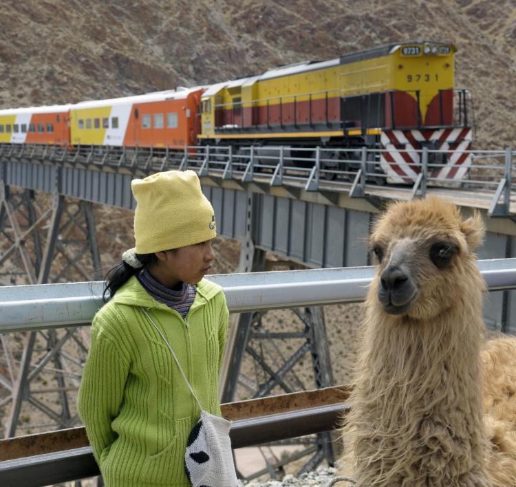 <a><img src="https://www.theepochtimes.com/assets/uploads/2015/09/83622046.jpg" alt="Llamas like this are commmon in Peru and other parts of South America, and often enough play the role of human companions. (Juan Mabromata/AFP/Getty Images)" title="Llamas like this are commmon in Peru and other parts of South America, and often enough play the role of human companions. (Juan Mabromata/AFP/Getty Images)" width="320" class="size-medium wp-image-1830289"/></a>