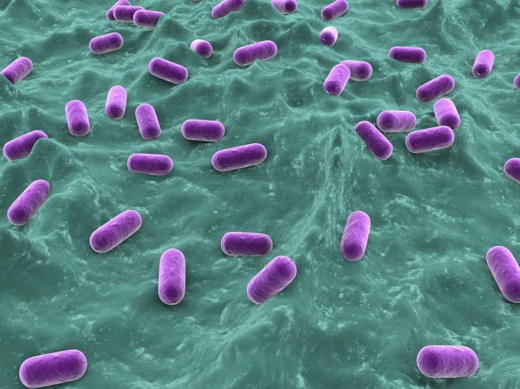<a><img class="size-full wp-image-1787236" title=" 	 Scientists have developed a solution that can kill bacteria without letting them develop resistance to it. (Alexander Raths/Photos.com) " src="https://www.theepochtimes.com/assets/uploads/2015/09/950182071.jpg" alt=" 	 Scientists have developed a solution that can kill bacteria without letting them develop resistance to it. (Alexander Raths/Photos.com) " width="750" height="562"/></a>