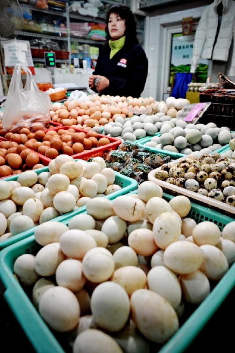 <a><img src="https://www.theepochtimes.com/assets/uploads/2015/09/97600041.jpg" alt="A vendor selling eggs waits for customers at a wet market in Shanghai on March 9, 2010. (Philippe Lopez/AFP/Getty Images)" title="A vendor selling eggs waits for customers at a wet market in Shanghai on March 9, 2010. (Philippe Lopez/AFP/Getty Images)" width="320" class="size-medium wp-image-1796727"/></a>