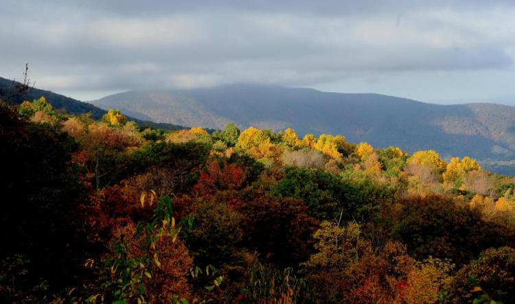 <a><img src="https://www.theepochtimes.com/assets/uploads/2015/09/AppalachianMts_83338858_2.jpg" alt="A ridge in the Blue Ridge Mountains is ablaze in Fall colors October 18, 2008 on Skyline Drive in Shenandoah Park, Virginia. The red and gold leaves draw hundreds of people to the scenic drive in the fall. (Karen Bleier/AFP/Getty Images)" title="A ridge in the Blue Ridge Mountains is ablaze in Fall colors October 18, 2008 on Skyline Drive in Shenandoah Park, Virginia. The red and gold leaves draw hundreds of people to the scenic drive in the fall. (Karen Bleier/AFP/Getty Images)" width="320" class="size-medium wp-image-1806108"/></a>