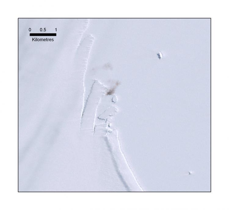 <a><img src="https://www.theepochtimes.com/assets/uploads/2015/09/Atka_Bay.jpg" alt="As seen in satellite images, patches of guano on the ice provide a reliable indication of emperor penguins' breeding colonies in the Antarctic (Peter Fretwell/British Antarctic Survey)" title="As seen in satellite images, patches of guano on the ice provide a reliable indication of emperor penguins' breeding colonies in the Antarctic (Peter Fretwell/British Antarctic Survey)" width="320" class="size-medium wp-image-1827954"/></a>