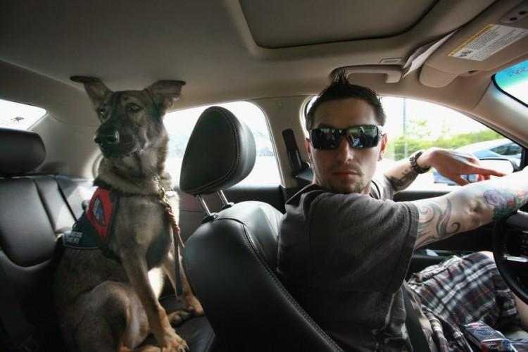 <a><img class="size-large wp-image-1785576" title="Service Dog Helps Wounded Veteran Cope With PTSD" src="https://www.theepochtimes.com/assets/uploads/2015/09/Dog_147124947.jpg" alt="" width="590" height="393"/></a>