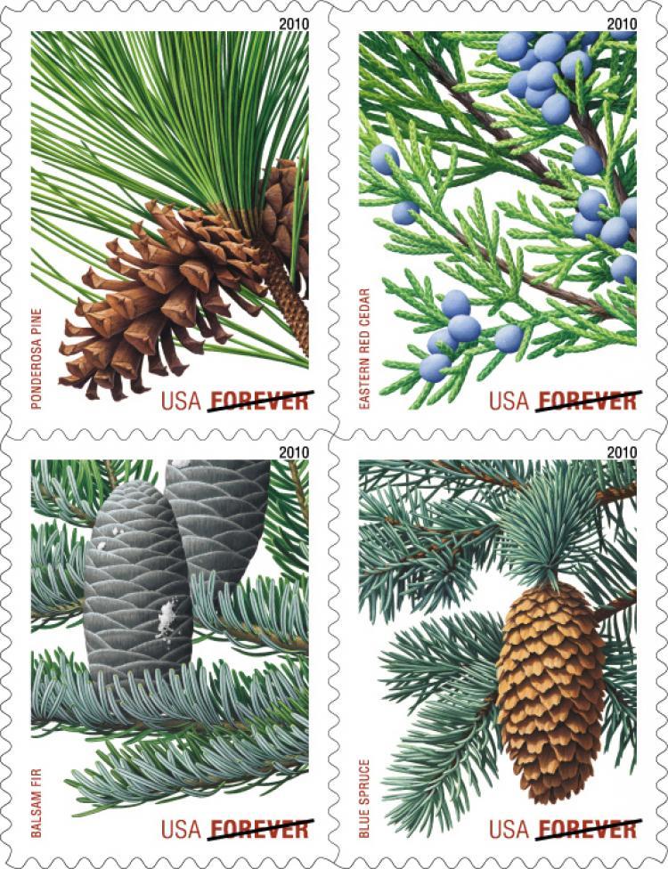<a><img src="https://www.theepochtimes.com/assets/uploads/2015/09/Evergreens-Forever.jpg" alt="The new USPS evergreen forever stamps.  (Courtesy of United States Postal Service)" title="The new USPS evergreen forever stamps.  (Courtesy of United States Postal Service)" width="320" class="size-medium wp-image-1817693"/></a>