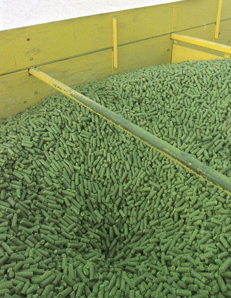 <a><img src="https://www.theepochtimes.com/assets/uploads/2015/09/Getty908190cropped.jpg" alt="Pelletized alfalfa hay. Canadian farmer and consumer groups say deregulating GE alfalfa in the United States could have an irreversible negative impact on the future of organic food and farming in Canada. (Michael Smith/Newsmakers)" title="Pelletized alfalfa hay. Canadian farmer and consumer groups say deregulating GE alfalfa in the United States could have an irreversible negative impact on the future of organic food and farming in Canada. (Michael Smith/Newsmakers)" width="320" class="size-medium wp-image-1822229"/></a>