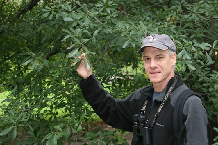 <a><img class="size-medium wp-image-1795869" title="Ken Chaya, Central Park's trees authority. For more than two years he personally mapped and identified almost every tree in Central Park. (Gidon Belmaker/The Epoch Times)" src="https://www.theepochtimes.com/assets/uploads/2015/09/IMG_2581.JPG" alt="Ken Chaya, Central Park's trees authority. For more than two years he personally mapped and identified almost every tree in Central Park. (Gidon Belmaker/The Epoch Times)" width="575"/></a>