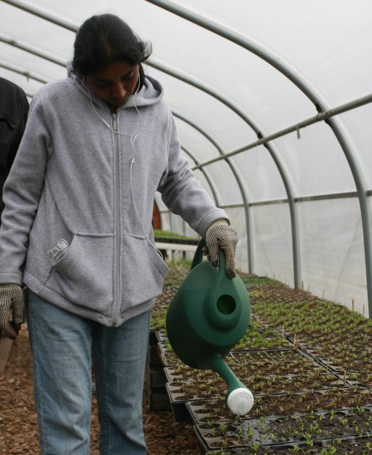 <a><img src="https://www.theepochtimes.com/assets/uploads/2015/09/IMG_9104.jpg" alt="SEMINAL MOMENT: A volunteer at Red Hook Community Farm in Brooklyn waters the germinating seedlings in preparation for spring planting. (Tara MacIsaac/The Epoch Times)" title="SEMINAL MOMENT: A volunteer at Red Hook Community Farm in Brooklyn waters the germinating seedlings in preparation for spring planting. (Tara MacIsaac/The Epoch Times)" width="320" class="size-medium wp-image-1805335"/></a>