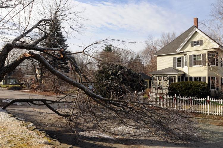 <a><img src="https://www.theepochtimes.com/assets/uploads/2015/09/IceStorm-Getty84031687.jpg" alt="ICE STORM: A felled tree blocks Fairview Avenue Dec. 14, 2008 in Derry, New Hampshire. An ice storm on Dec. 12 knocked out power to 1.4 million people in upstate New York, Massachusetts, New Hampshire and Maine and President George W. Bush declared a stat (Darren McCollester/Getty Images)" title="ICE STORM: A felled tree blocks Fairview Avenue Dec. 14, 2008 in Derry, New Hampshire. An ice storm on Dec. 12 knocked out power to 1.4 million people in upstate New York, Massachusetts, New Hampshire and Maine and President George W. Bush declared a stat (Darren McCollester/Getty Images)" width="320" class="size-medium wp-image-1832393"/></a>