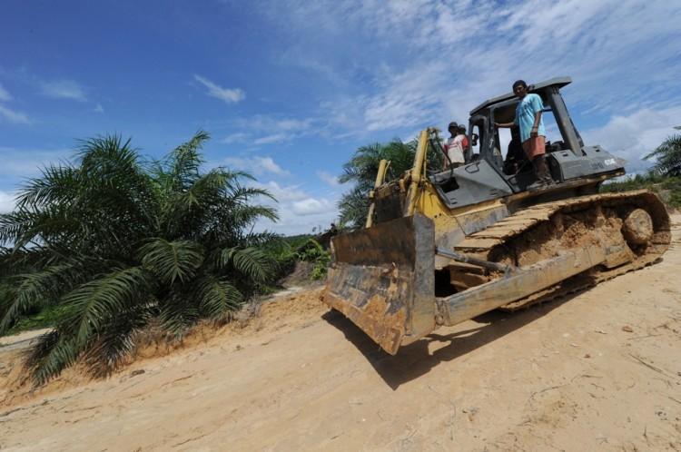 <a><img class="size-large wp-image-1780939" title="A worker drives a bulldozer near a newly developed palm oil plantation over cleared tropical forest land on June 5, in Borneo, Indonesia. (Romeo Gacad/AFP/GettyImages)" src="https://www.theepochtimes.com/assets/uploads/2015/09/Palm-Oil-Forest.jpg" alt="A worker drives a bulldozer near a newly developed palm oil plantation over cleared tropical forest land on June 5, in Borneo, Indonesia. (Romeo Gacad/AFP/GettyImages)" width="590" height="392"/></a>