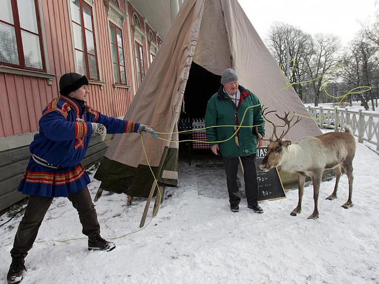 <a><img src="https://www.theepochtimes.com/assets/uploads/2015/09/SWEDEN56755934.jpg" alt="TRADITIONAL CULTURE SHOW: Ulf Bergdahl from the Sami village of Saarivuoma shows his talent with the lasso on a stuffed reindeer at the Skansen Open Air museum during the Sami National day celebrations in Stockholm, Sweden. (Fredrik Sandberg/AFP/Getty Images)" title="TRADITIONAL CULTURE SHOW: Ulf Bergdahl from the Sami village of Saarivuoma shows his talent with the lasso on a stuffed reindeer at the Skansen Open Air museum during the Sami National day celebrations in Stockholm, Sweden. (Fredrik Sandberg/AFP/Getty Images)" width="320" class="size-medium wp-image-1818839"/></a>