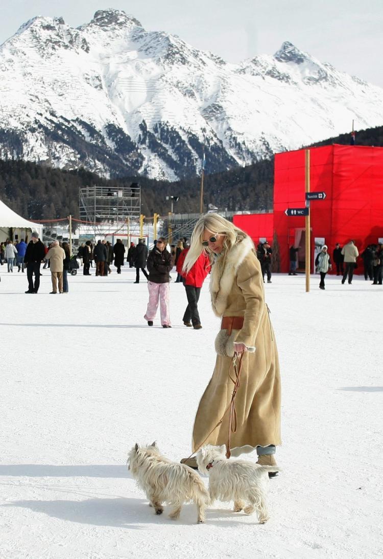 <a><img src="https://www.theepochtimes.com/assets/uploads/2015/09/SWITZERLAND.jpg" alt="A woman walks her dogs at the polo on the third day of the 24th Cartier Polo World Cup on Snow on Jan. 25, 2008 in St Moritz, Switzerland. An initiative to provide state-funded lawyers for abused animals was overwhelmingly shot down by Swiss voters in a national referendum with 70 percent of voters rejecting the proposal. (Chris Jackson/Getty Images for St Moritz Polo Club AG)" title="A woman walks her dogs at the polo on the third day of the 24th Cartier Polo World Cup on Snow on Jan. 25, 2008 in St Moritz, Switzerland. An initiative to provide state-funded lawyers for abused animals was overwhelmingly shot down by Swiss voters in a national referendum with 70 percent of voters rejecting the proposal. (Chris Jackson/Getty Images for St Moritz Polo Club AG)" width="320" class="size-medium wp-image-1822352"/></a>