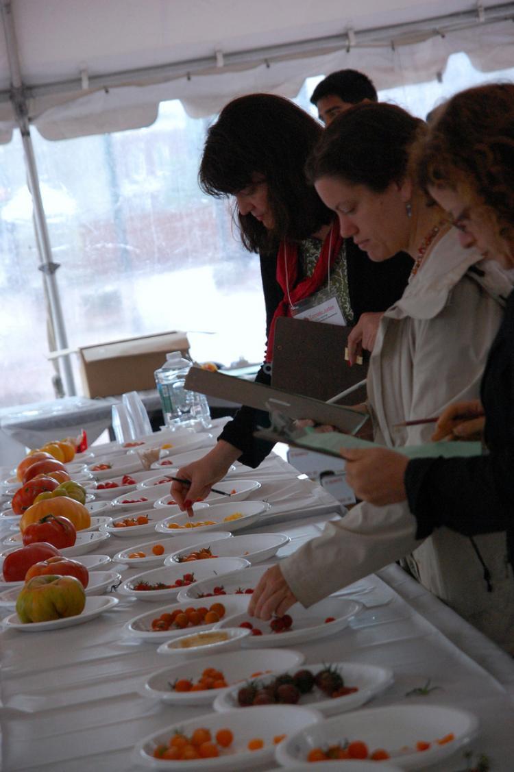 <a><img src="https://www.theepochtimes.com/assets/uploads/2015/09/TomatoFest.jpg" alt="TOMATO TASTING: Judges at the 26th Annual Tomato Festival at Boston's City Hall Plaza evaluate tomatoes of all colors, shapes, and sizes as part of Massachusetts Farmers Market Week.  ( COURTESY OF EXECUTIVE OFFICE OF ENERGY AND ENVIRONMENTAL AFFAIRS )" title="TOMATO TASTING: Judges at the 26th Annual Tomato Festival at Boston's City Hall Plaza evaluate tomatoes of all colors, shapes, and sizes as part of Massachusetts Farmers Market Week.  ( COURTESY OF EXECUTIVE OFFICE OF ENERGY AND ENVIRONMENTAL AFFAIRS )" width="320" class="size-medium wp-image-1814847"/></a>
