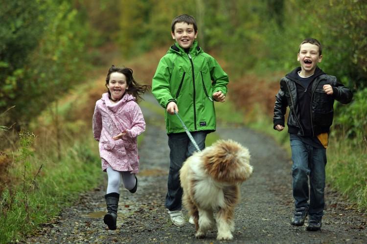 <a><img src="https://www.theepochtimes.com/assets/uploads/2015/09/Walk.jpg" alt="Eva 5, Alex, 8, Sam White, 7, with Bertie the Bearded Collie take a run in Union Wood, where Michael Ring T.D. Minister for State at the Department of Transport, Tourism and Sport, launched the 'Walk The Sligo Way' New Walking Guide in Sligo. (James Connolly/PicSell8)" title="Eva 5, Alex, 8, Sam White, 7, with Bertie the Bearded Collie take a run in Union Wood, where Michael Ring T.D. Minister for State at the Department of Transport, Tourism and Sport, launched the 'Walk The Sligo Way' New Walking Guide in Sligo. (James Connolly/PicSell8)" width="320" class="size-medium wp-image-1795822"/></a>