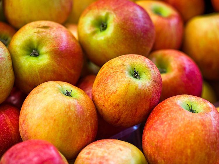 <a><img src="https://www.theepochtimes.com/assets/uploads/2015/09/apull88014584.jpg" alt="BACTERIA KEEP THE DOCTOR AWAY: Rats fed with apples have a higher amount of beneficial bacteria in their digestive systems. (Photos.com)" title="BACTERIA KEEP THE DOCTOR AWAY: Rats fed with apples have a higher amount of beneficial bacteria in their digestive systems. (Photos.com)" width="320" class="size-medium wp-image-1823130"/></a>