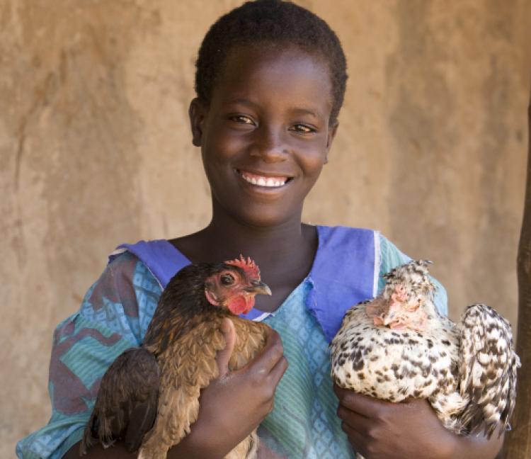 <a><img src="https://www.theepochtimes.com/assets/uploads/2015/09/chk1.jpg" alt="A girl in Malawi holds her gift of chickens. Fowl given to a family in a developing country can provide eggs or chicks, both good for food or sale. It could even be the beginning of a family business. (World Vision)" title="A girl in Malawi holds her gift of chickens. Fowl given to a family in a developing country can provide eggs or chicks, both good for food or sale. It could even be the beginning of a family business. (World Vision)" width="320" class="size-medium wp-image-1832310"/></a>