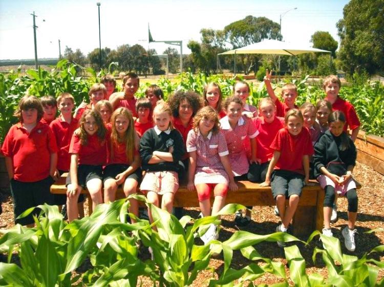 <a><img src="https://www.theepochtimes.com/assets/uploads/2015/09/class+among+corn.jpg" alt="The garden project, teaches children the benefits of clean organic food and low food miles, Rob Nigro said. (Courtesy of Bob Dalling)" title="The garden project, teaches children the benefits of clean organic food and low food miles, Rob Nigro said. (Courtesy of Bob Dalling)" width="320" class="size-medium wp-image-1815122"/></a>