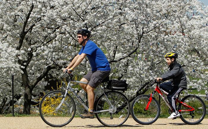 <a><img class="size-large wp-image-1785858" title="cyclingc-safety-getty-98192702" src="https://www.theepochtimes.com/assets/uploads/2015/09/cyclingc-safety-getty-98192702.jpg" alt="" width="590" height="367"/></a>