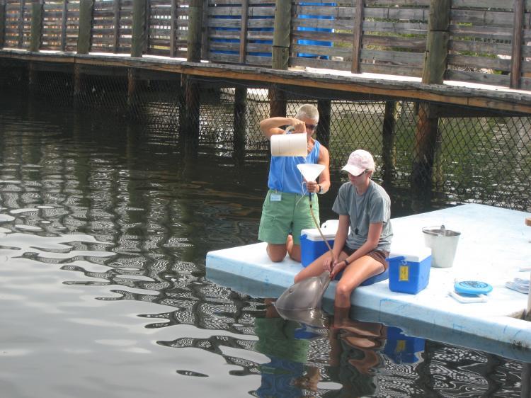 <a><img class="size-medium wp-image-1826154" title="VOLUNTARY MEDICAL BEHAVIOR: Atlantic Bottlenose Dolphins at the Dolphin Research Center are trained to accept water through a tube.  (Stephanie Lam/The Epoch Times)" src="https://www.theepochtimes.com/assets/uploads/2015/09/drcdolphion.JPG" alt="VOLUNTARY MEDICAL BEHAVIOR: Atlantic Bottlenose Dolphins at the Dolphin Research Center are trained to accept water through a tube.  (Stephanie Lam/The Epoch Times)" width="320"/></a>