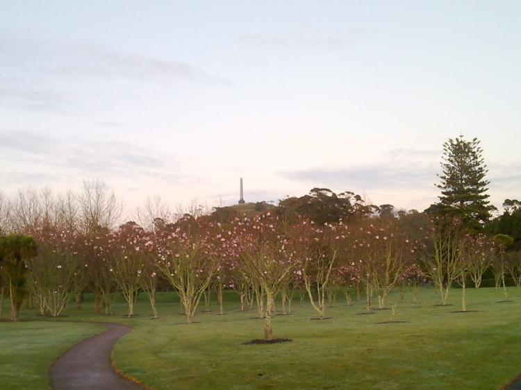 <a><img src="https://www.theepochtimes.com/assets/uploads/2015/09/edited_30072010542.jpg" alt="The arrival of Spring at One Tree Hill in Auckland. (Nicholas McLaughlin/The Epoch Times)" title="The arrival of Spring at One Tree Hill in Auckland. (Nicholas McLaughlin/The Epoch Times)" width="320" class="size-medium wp-image-1815243"/></a>