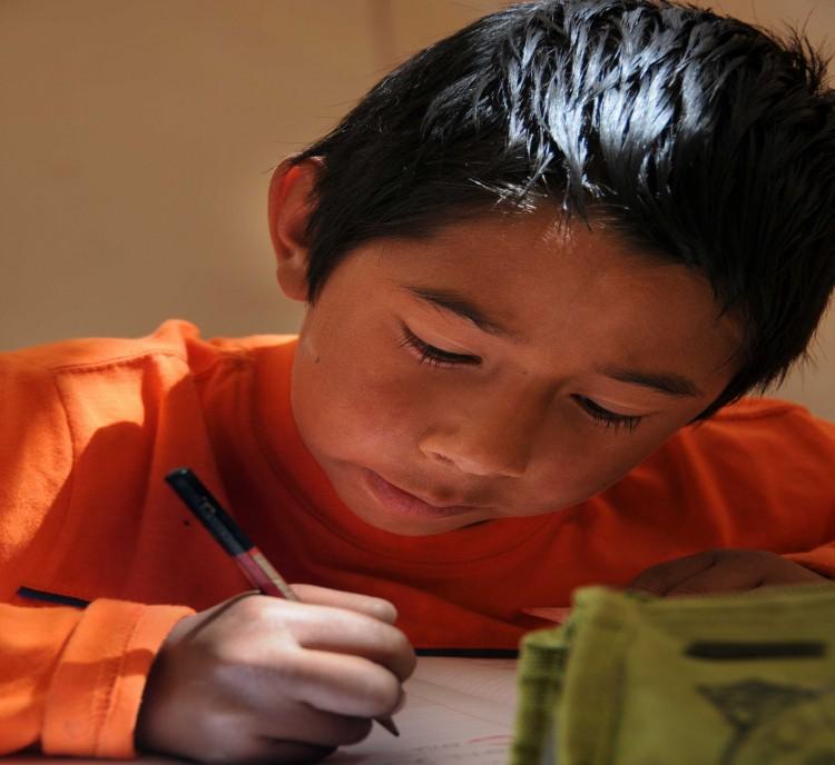 <a><img src="https://www.theepochtimes.com/assets/uploads/2015/09/homework.jpg" alt="CONCENTRATION:Making sure a child is being taught at their level and according to their learning style can greatly enhance their ability to focus. (Ariel Marinkovic/AFP/Getty Images)" title="CONCENTRATION:Making sure a child is being taught at their level and according to their learning style can greatly enhance their ability to focus. (Ariel Marinkovic/AFP/Getty Images)" width="320" class="size-medium wp-image-1799708"/></a>